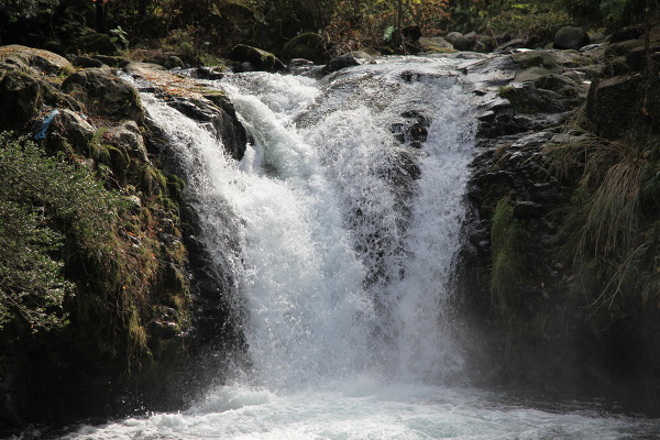 萬城の小滝の主写真 IMG_5178.JPG
