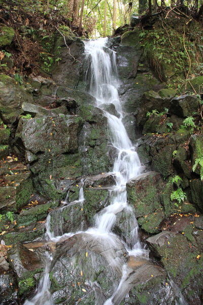 萬城の雌滝の主写真 IMG_5139.JPG