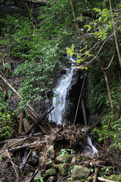 行基の小滝の主写真 IMG_5224.JPG