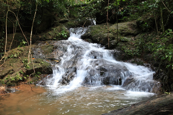 Tonsai waterfallの主写真 IMG_6291.JPG