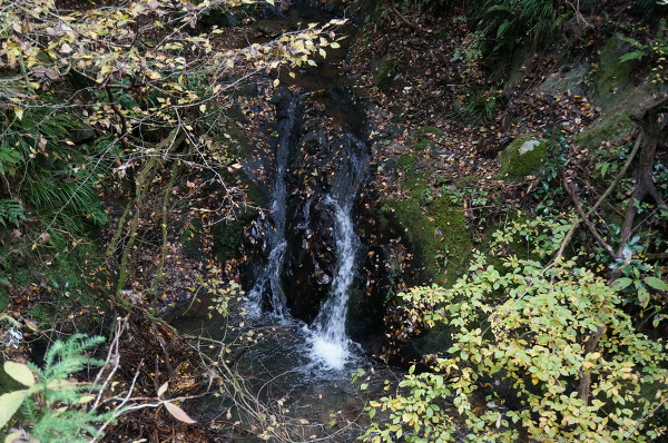 琵琶小滝の主写真 DSC01626.JPG