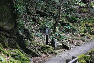 No.13 IMG_6590.JPG