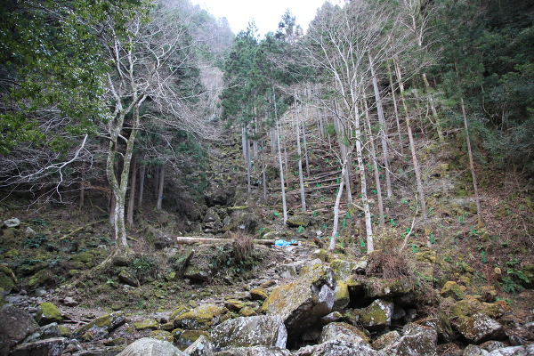 大日滝の主写真 IMG_6601.JPG