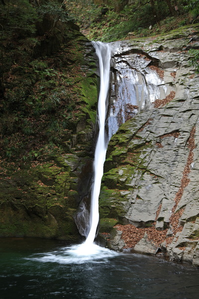 布曳滝の主写真 IMG_6631.JPG