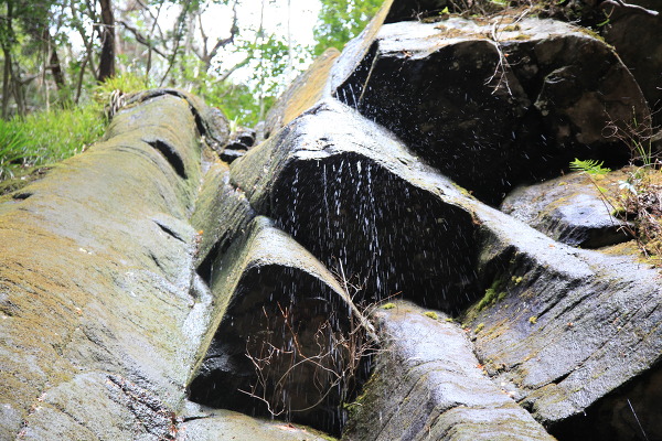 雨降滝の主写真 IMG_6677.JPG