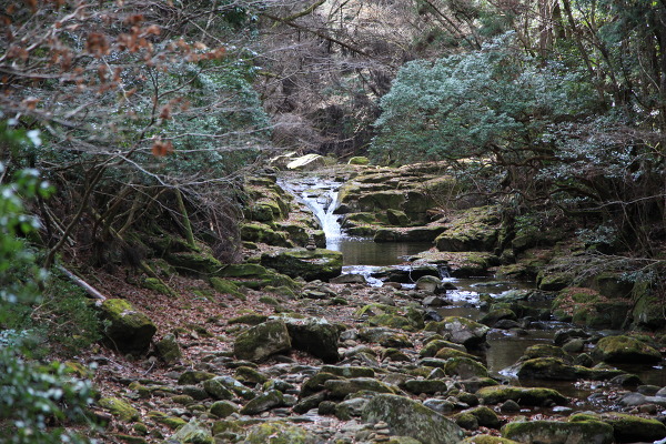 夫婦滝の主写真 IMG_6714.JPG