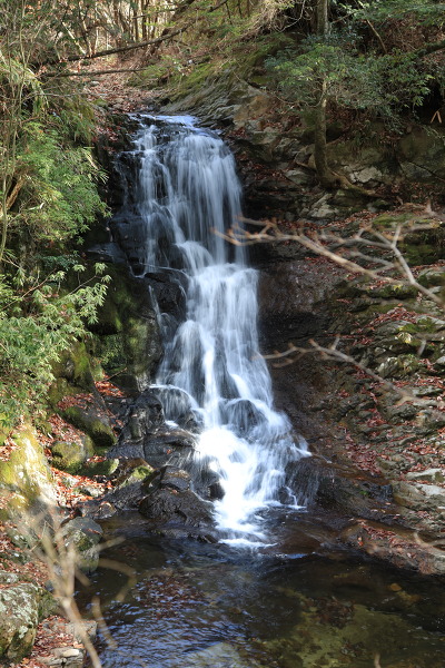 巌窟滝の主写真 IMG_6754.JPG