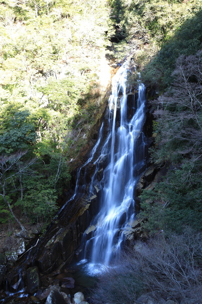 荒滝の主写真 IMG_6815.JPG