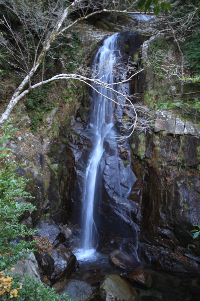 松山滝の主写真 IMG_6822.JPG