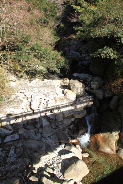 隠れ滝の主写真 IMG_6825.JPG