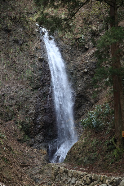 不動滝の主写真 IMG_7736.JPG