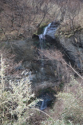No.5 IMG_7806.JPG
