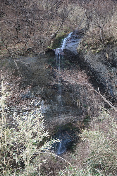 大沢の滝の主写真 IMG_7806.JPG