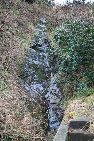 ベッセルの滝の主写真 IMG_7837.JPG