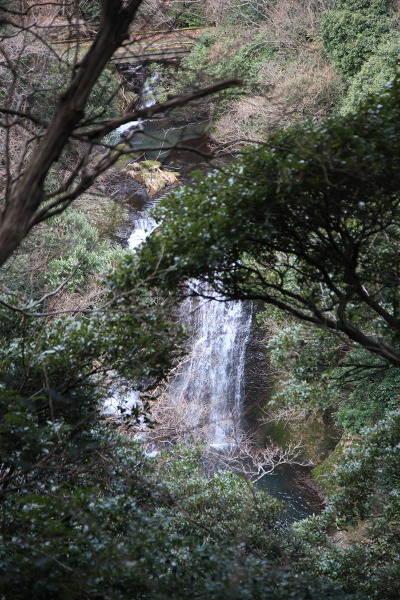 双竜の滝の主写真 IMG_7863.JPG