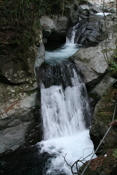 えび滝の主写真 0059-007.jpg