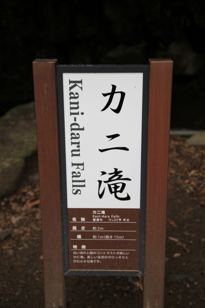 No.7 IMG_9084.JPG