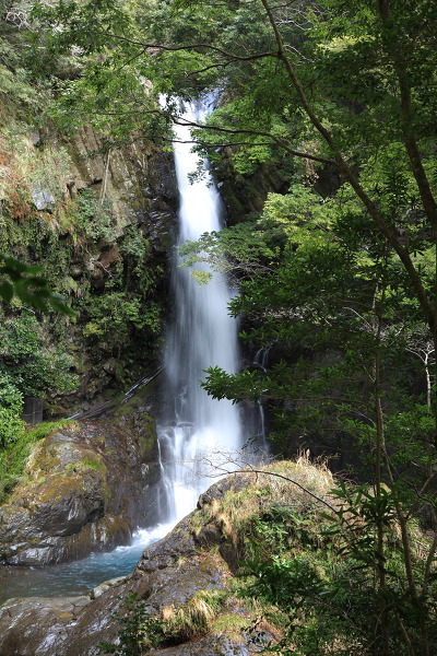 釜滝の主写真 IMG_9185.JPG