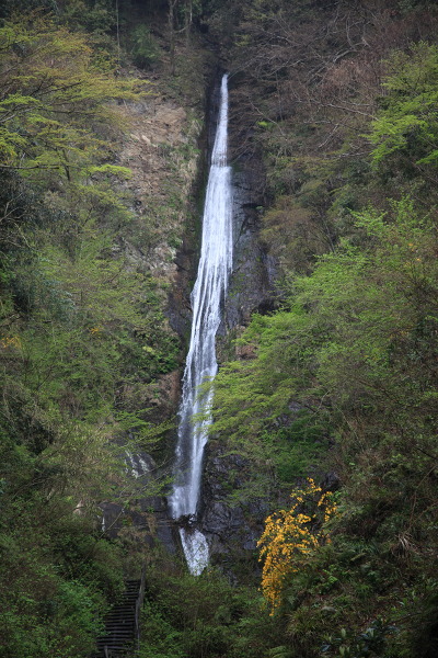 酒水の滝の主写真 IMG_9524.JPG
