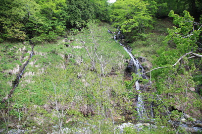 No.3 IMG_0876.JPG