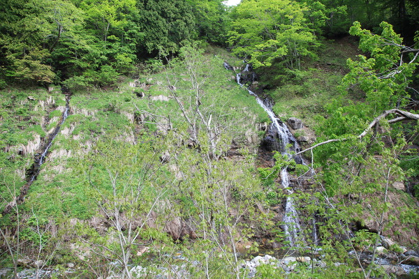 No.3 IMG_0876.JPG