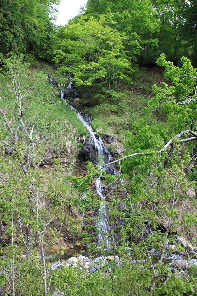 ひぐらしの滝の主写真 IMG_0880.JPG