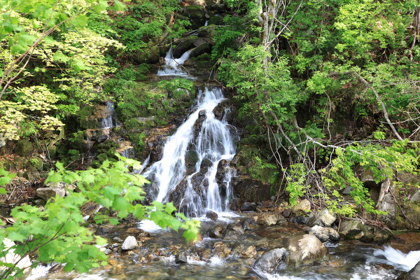 時雨の滝の主写真 IMG_0890.JPG