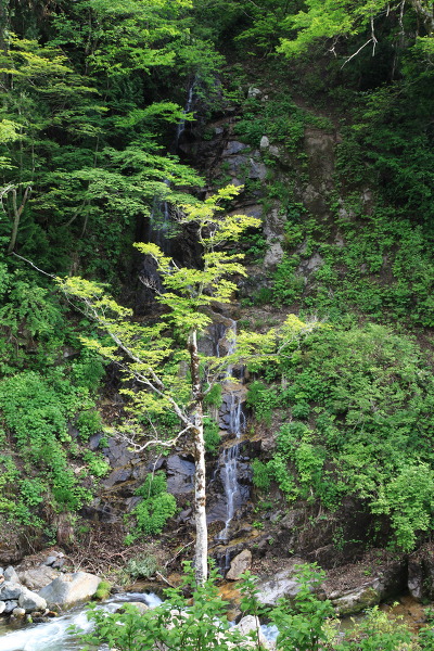 不断の滝の主写真 IMG_0899.JPG