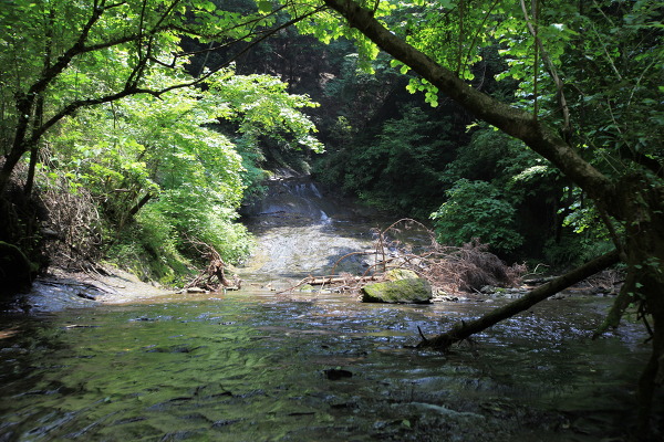 見返りの滝の主写真 IMG_1098.JPG