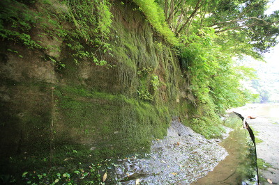 No.6 IMG_1091.JPG