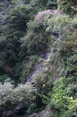 No.13 DSC06615.JPG