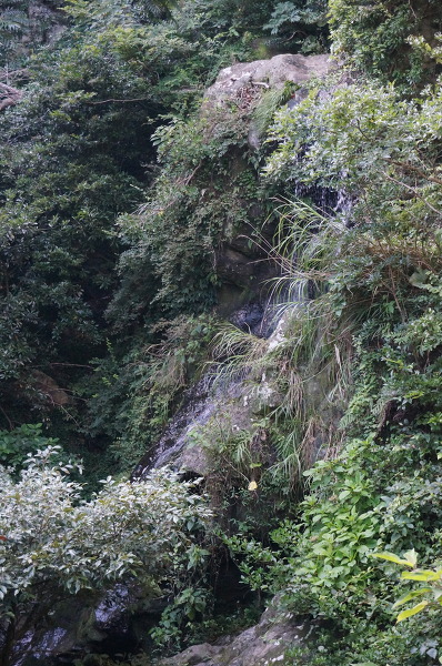 No.13 DSC06615.JPG