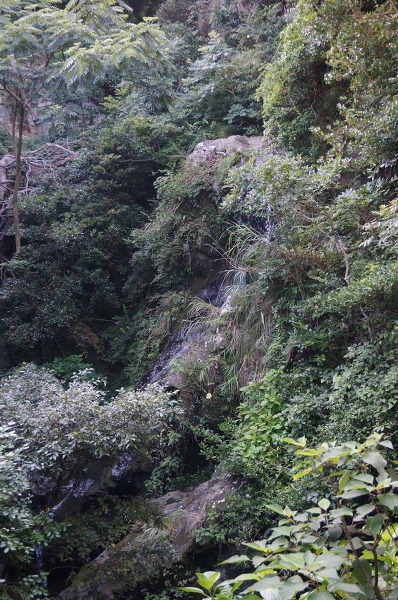 岩屋山波切不動尊の滝の主写真 DSC06616.JPG