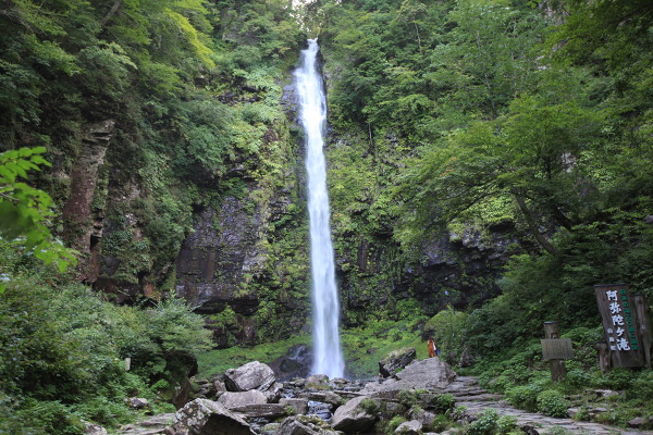 阿弥陀ケ滝の主写真 IMG_1289.JPG