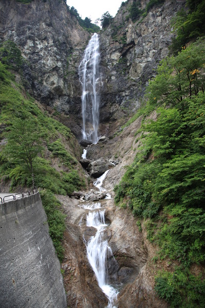 ふくべの大滝の主写真 IMG_1309.JPG