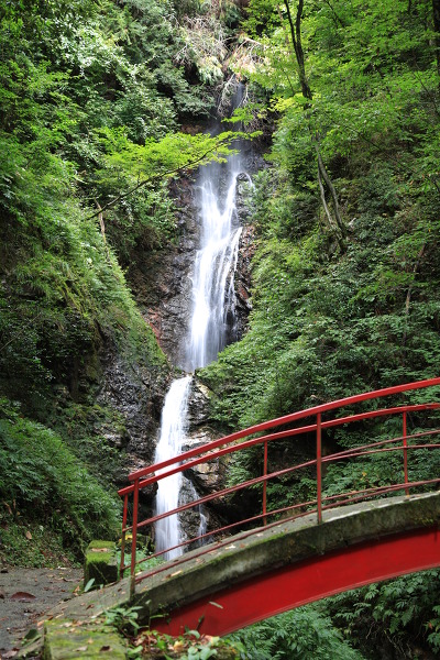 養老ノ滝の主写真 IMG_1941.JPG