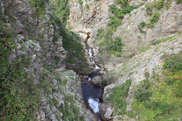 大ザレの滝の主写真 IMG_2048.JPG