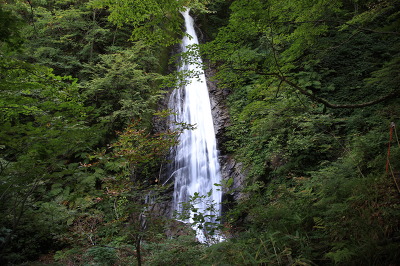 No.17 IMG_2249.JPG