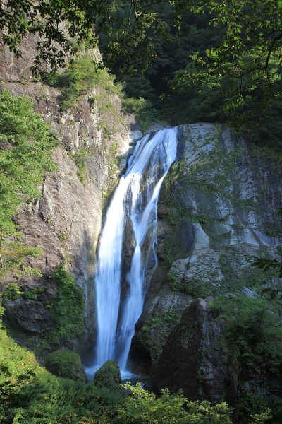 鈴ヶ滝の主写真 IMG_2297.JPG