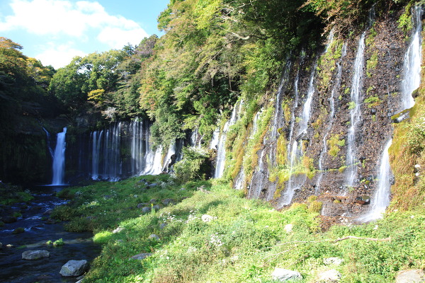 白糸の滝の主写真 IMG_2655.JPG