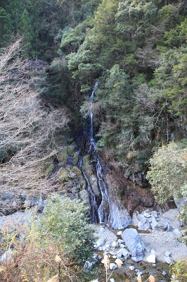 No.5 IMG_3485.JPG