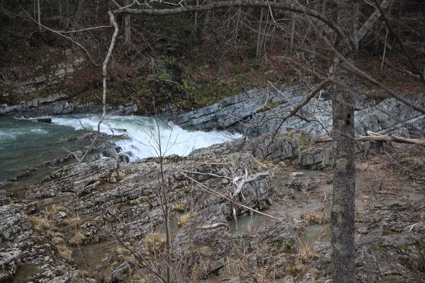 三段滝の主写真 IMG_4874.JPG