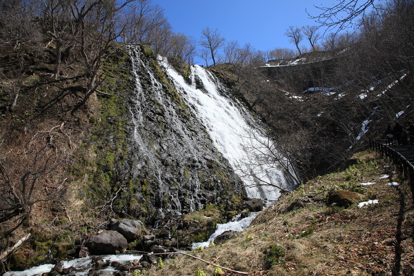 No.7 IMG_5146.JPG