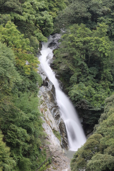 観音の滝の主写真 5DM43547.JPG