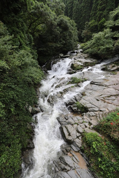 白絹の滝の主写真 5DM43515.JPG
