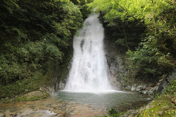 常光寺の滝の主写真 5DM47397.JPG