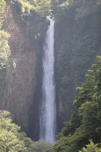 震動の滝の主写真 5DM47913.JPG