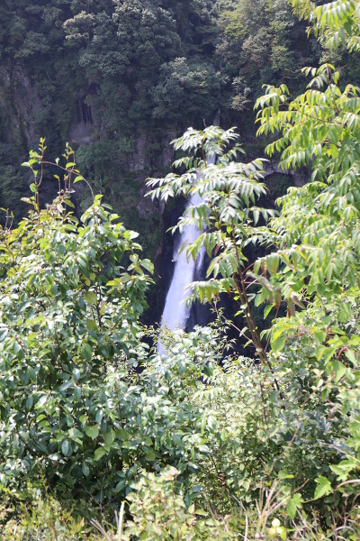 西椎屋の滝の主写真 5DM48024.JPG