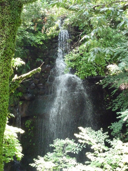 万葉公園の滝の主写真 0069-003.jpg