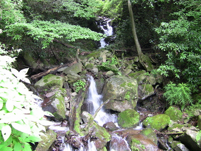 No.13 IMG_0149.JPG